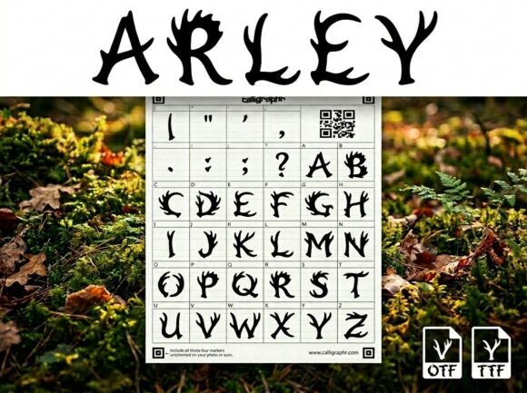 Arley: A Display Typeface Forged in the Wild