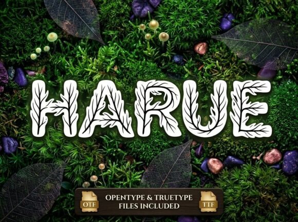 Harue: The Decorative Display Font for Bold Creators